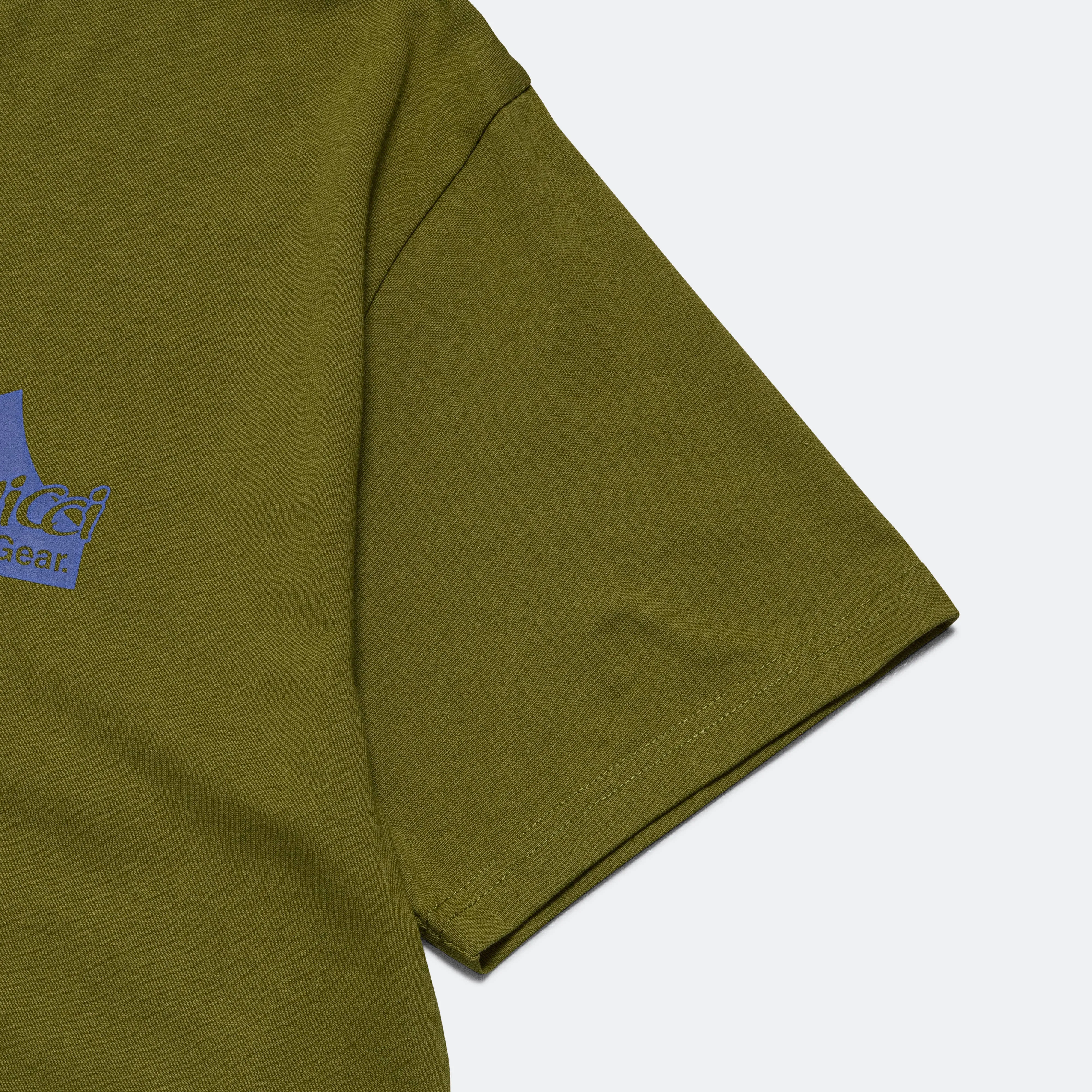 Climbing Gear Tee - Pistachio